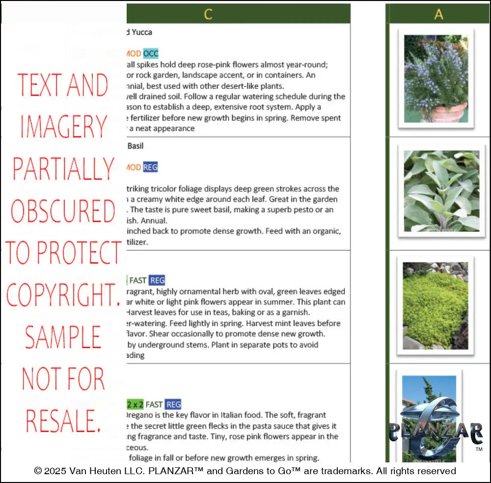 Rectangular Southwestern: PLANT GUIDE Digital Download Landscape Plans