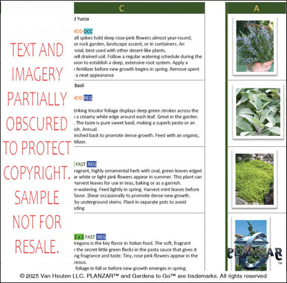 Rectangular Southwestern: PLANT GUIDE Digital Download Landscape Plans
