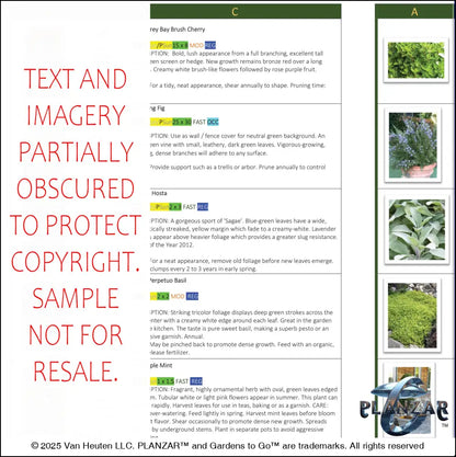 Rectangular Tuscan: PLANTING GUIDE Digital Download Landscape Plans