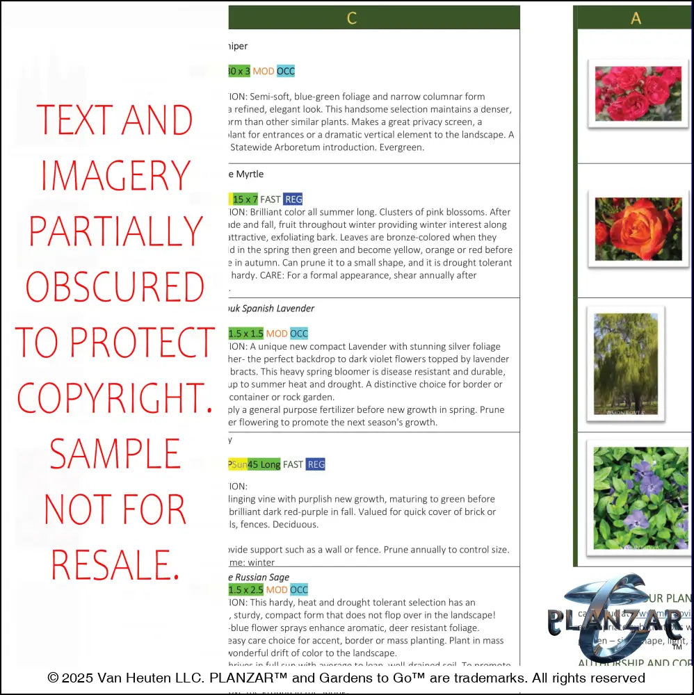 Rectangular Tuscan: PLANTING GUIDE Digital Download Landscape Plans